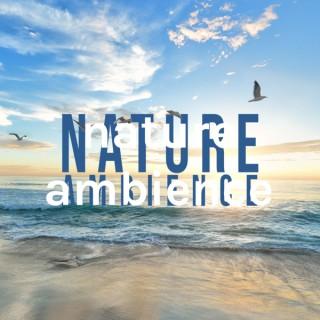 nature ambience (ASMR, ?? asmr, ???? asmr)