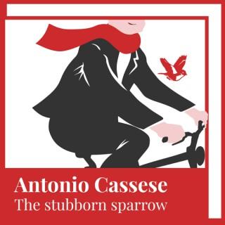 Antonio Cassese: The Stubborn Sparrow