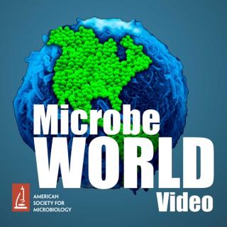 MicrobeWorld Video HD
