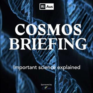 Cosmos Briefing