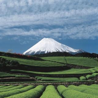 Konichiwa – der Japan Podcast mit Sven Meyer und Andy Janz