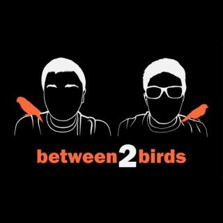 Between Two Birds