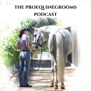 The Proequinegrooms Podcast