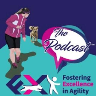 Fostering Excellence in Agility
