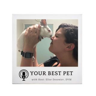 Your Best Pet