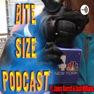 Bite Size Podcast
