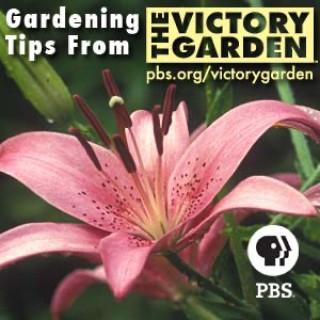 The Victory Garden | PBS