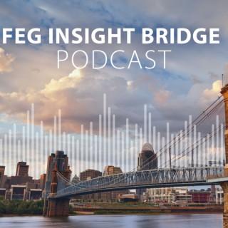 FEG Insight Bridge