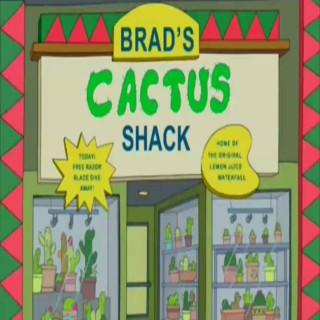 Brad's Cactus Shack