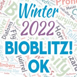 BioBlitz! Oklahoma