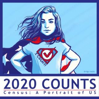 2020 Counts