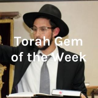 Torah Gem of the Week