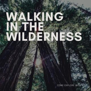 Walking in the Wilderness