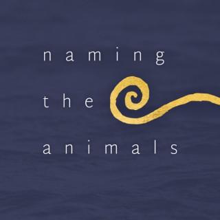 Naming The Animals