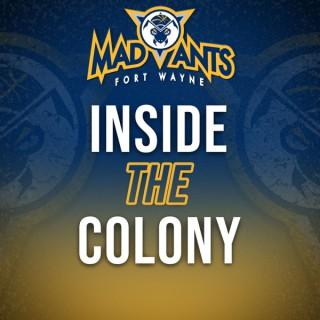Fort Wayne Mad Ants - Inside the Colony