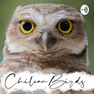 Chilean Birds Podcast