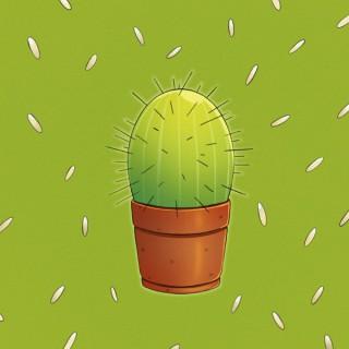 Cactus & Pinoli