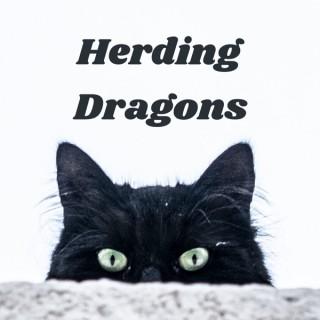 Herding Dragons: A D&D 5e Actual Play Podcast