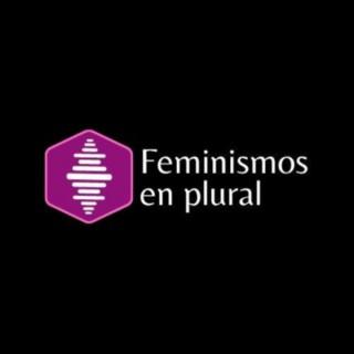 Feminismos en plural