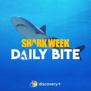 Shark Week's Daily Bite