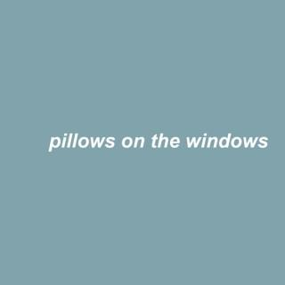 Pillows on the Windows