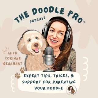The Doodle Pro™ Podcast