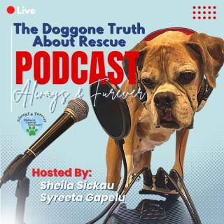 The Doggone Truth of Rescue - Always & Furever