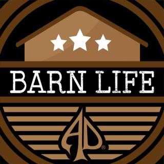 Austin Dillon's Barn Life - NASCAR & More
