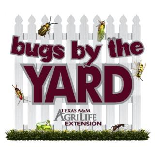 Bugs by the Yard