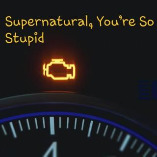 Supernatural, You're So Stupid