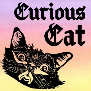 Curious Cat