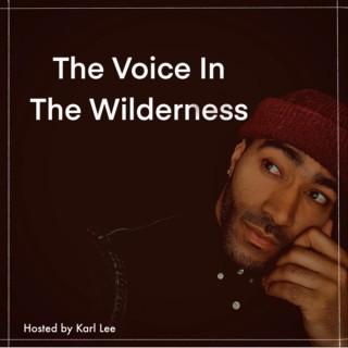 The Voice In The Wilderness