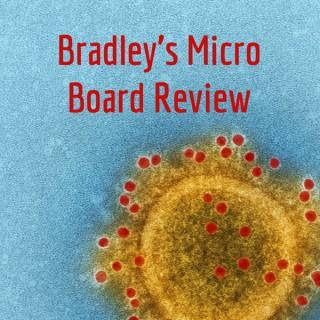 Bradley's Micro Board Review