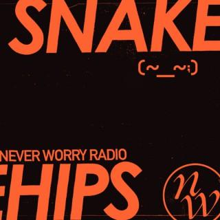Snakehips - Never Worry Radio