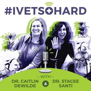 #IVETSOHARD, Technology And Workflows For Veterinary Teams