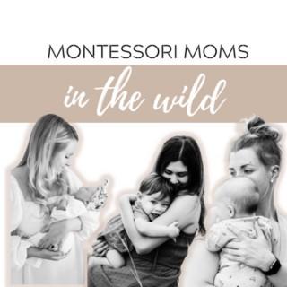 Montessori Moms in the Wild