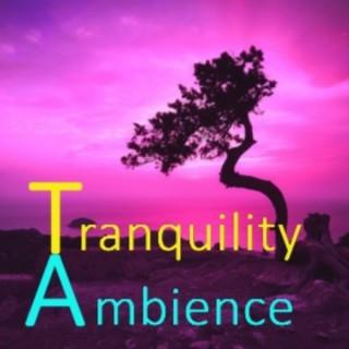 Tranquility Ambience