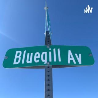 The Bluegill Report