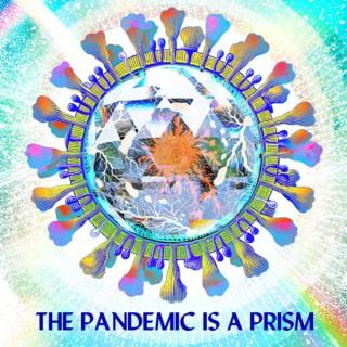 The Pandemic Is A Prism