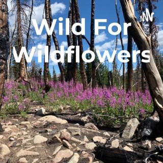 Wild For Wildflowers