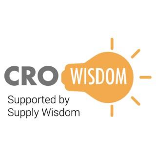 CRO Wisdom: Sharing the Wisdom of Risk Leaders