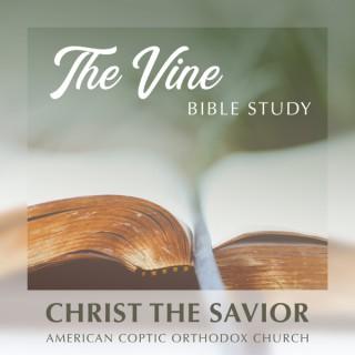 The Vine Bible Study