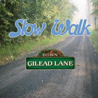 The Slow Walk Down Gilead Lane: Daniel and Dave Discuss Every Episode of DGL