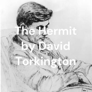 The Hermit by David Torkington