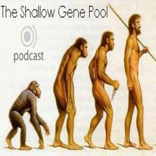 The Shallow Gene Pool; Examining examples of the shallow end of the human gene pool