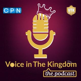 Voice in The Kingdom