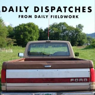DAILY DISPATCHES