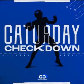 Caturday Checkdown