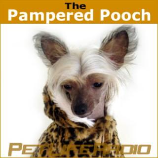 The Pampered Pooch - Dogs are not our whole life, but they make our lives whole - Pets & Animals on Pet Life Radio (PetLifeRa