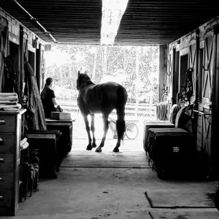 The Barn Aisle: An Equestrian Podcast
